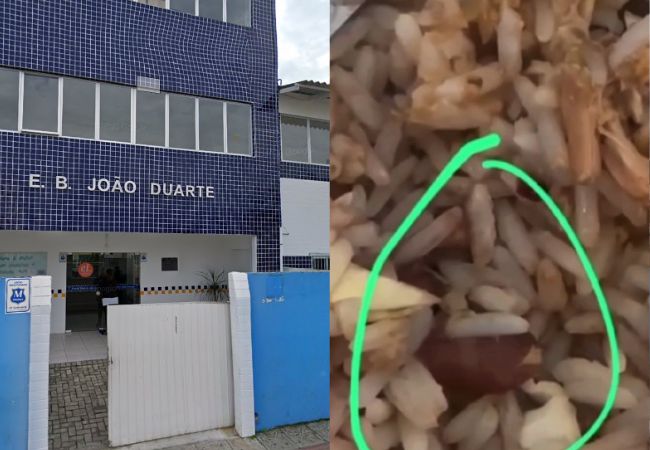 Imagens mostram larvas em merenda de escola em SC